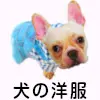 犬の洋服
