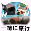 犬と旅行