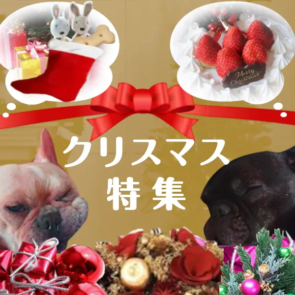 犬のクリスマスグッズ