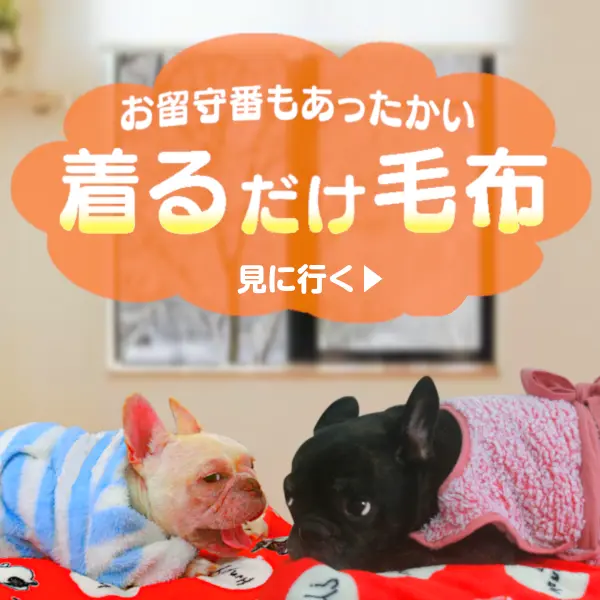 犬の毛布・寒さ対策