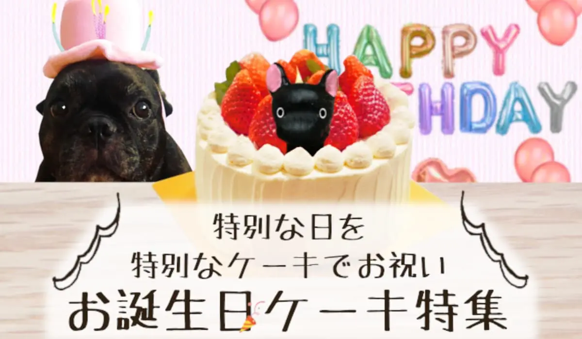 犬の誕生日ケーキ