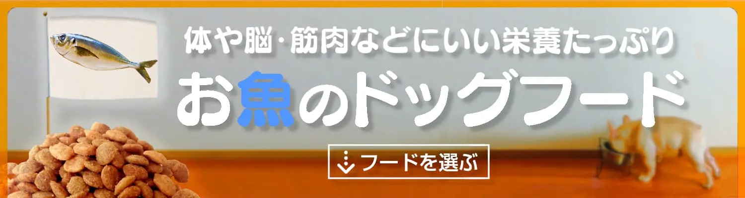 魚のドッグフード